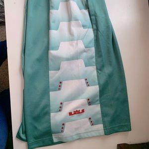 Nike Dri-fit Lebron basketball shorts